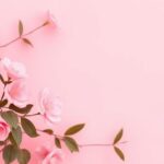 Blush Pink: The Soft Hue Redefining Elegance in Fashion, Décor, and Lifestyle